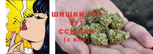 твердый Лабытнанги