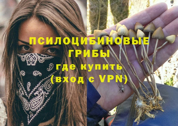 герыч Вязники
