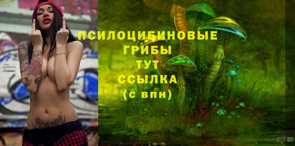 твердый Лабытнанги