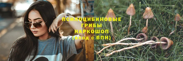 ешки Вяземский